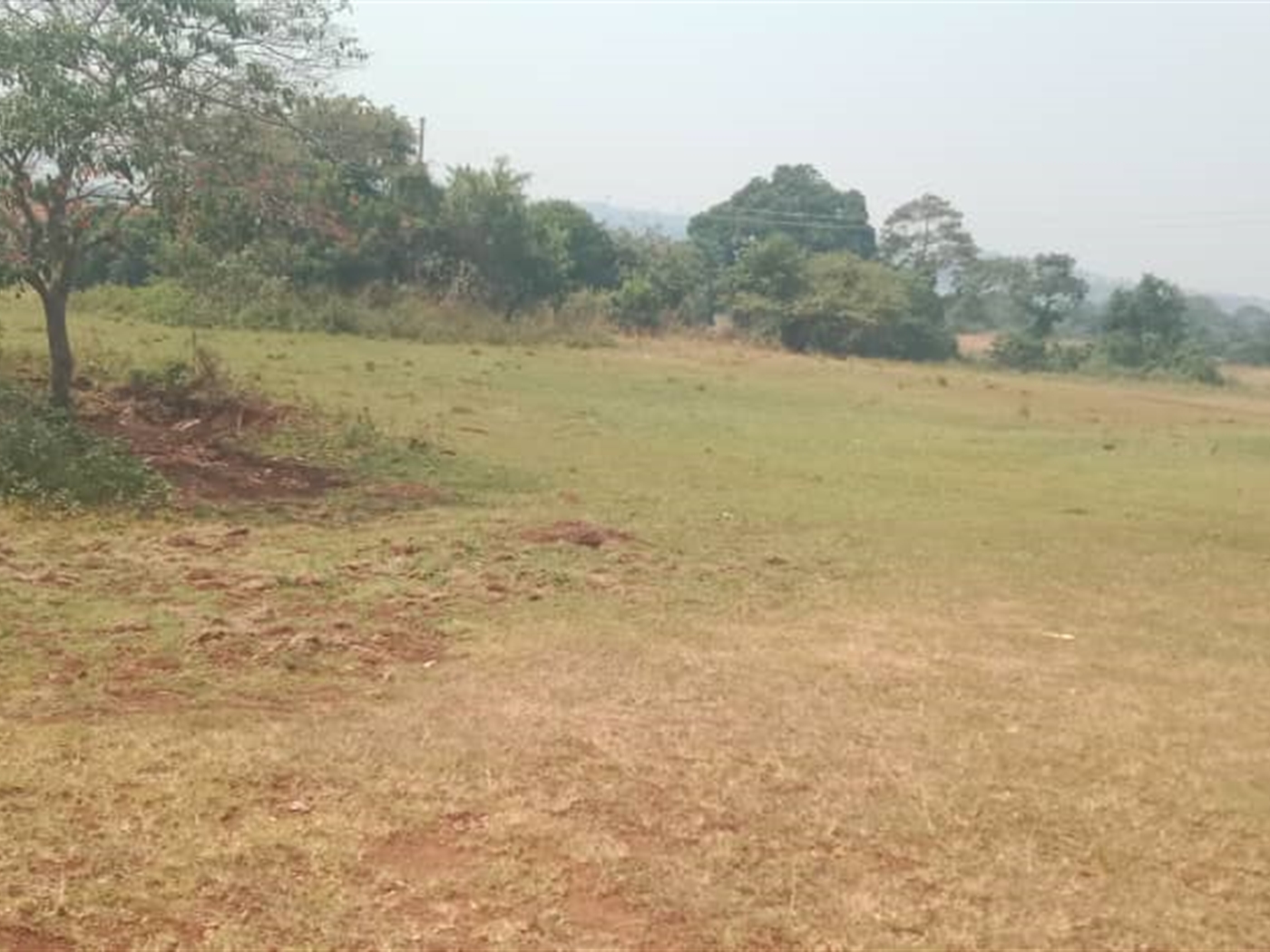 Residential Land for sale in Lutembe Wakiso