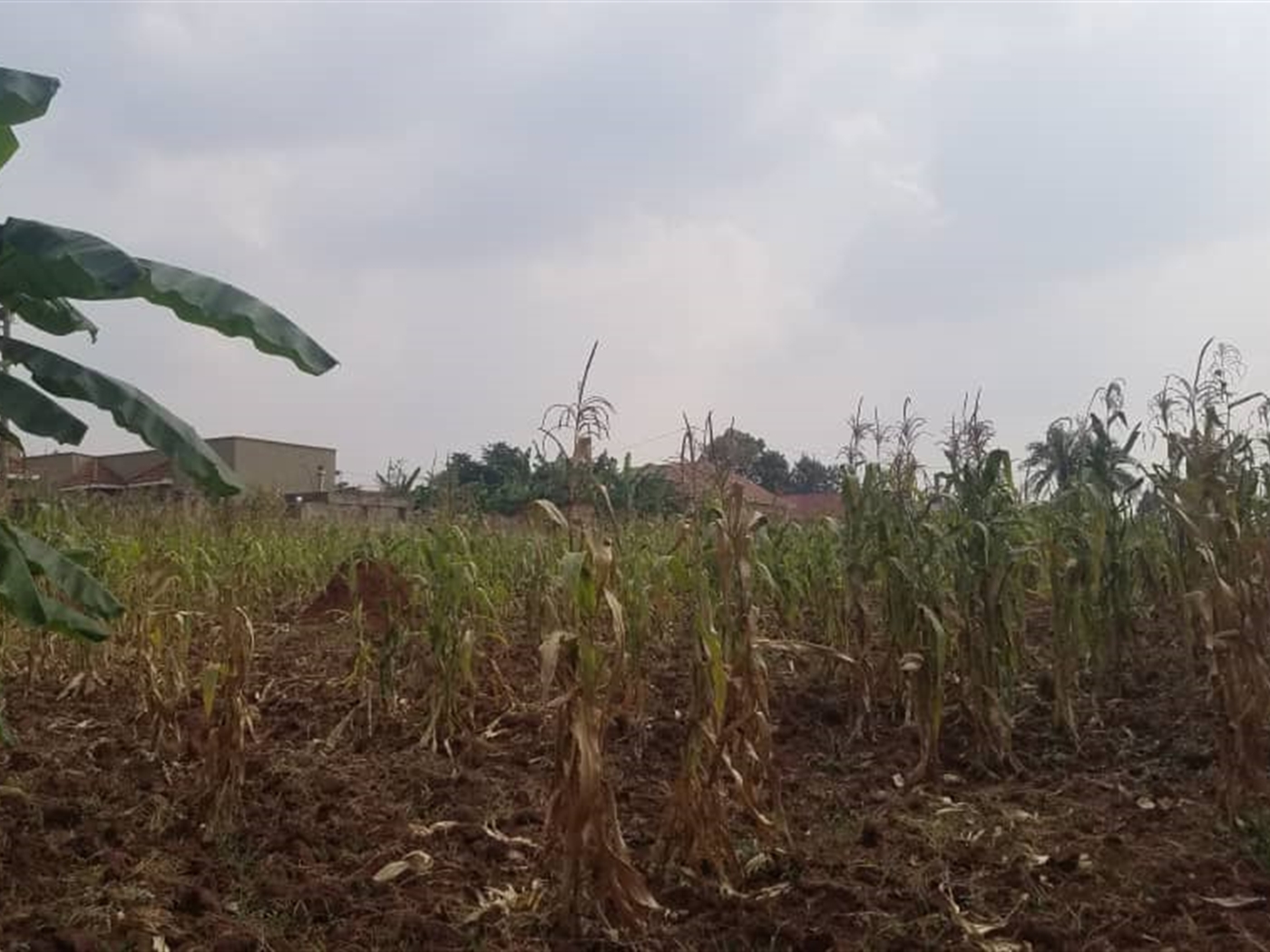 Residential Land for sale in Gayaza Wakiso