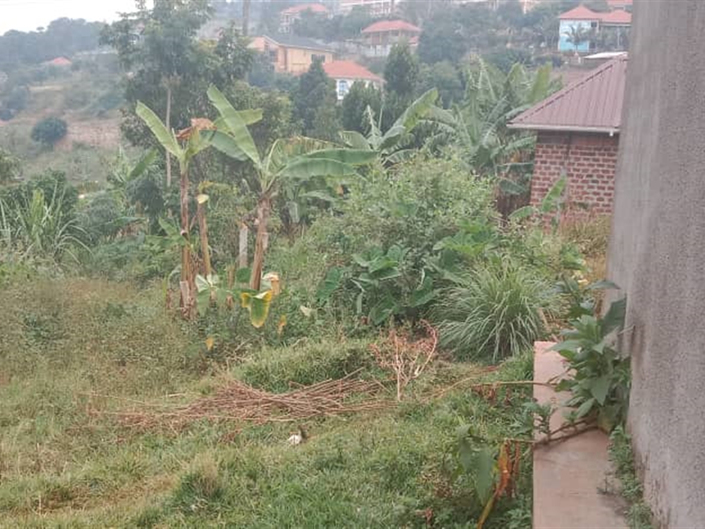 Residential Land for sale in Bwebajja Wakiso