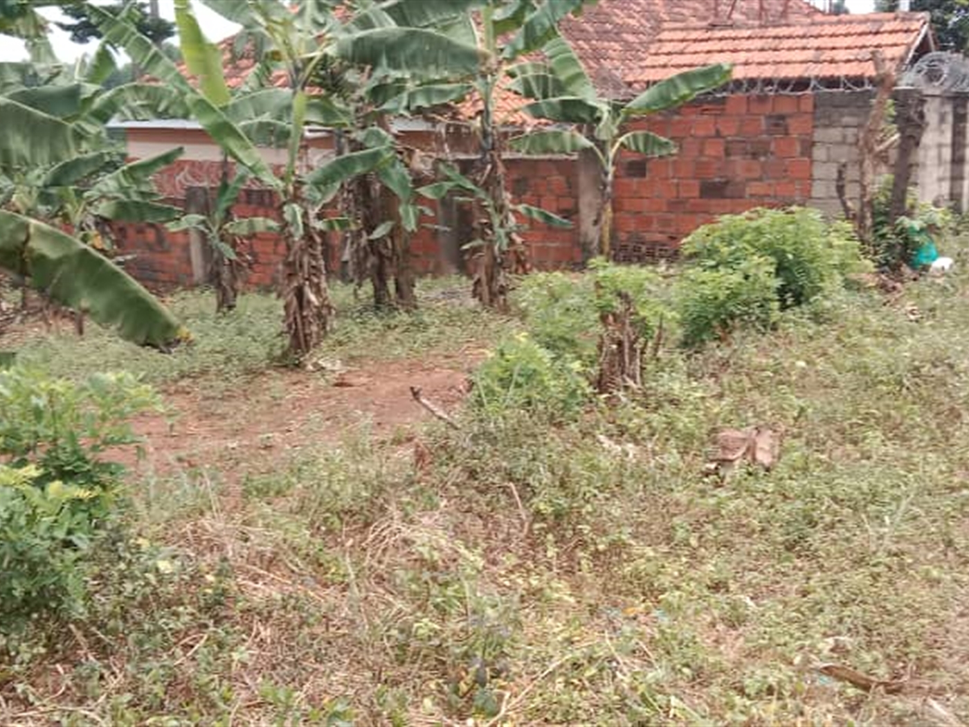 Residential Land for sale in Lubowa Wakiso