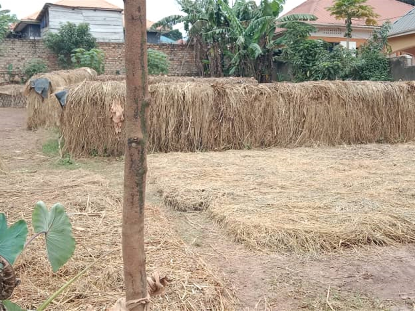 Residential Land for sale in Bunamwaaya Wakiso