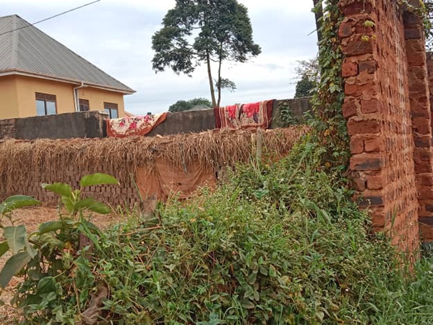 Residential Land for sale in Bunamwaaya Wakiso