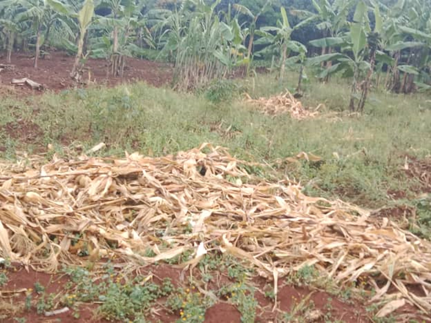 Residential Land for sale in Seguku Wakiso