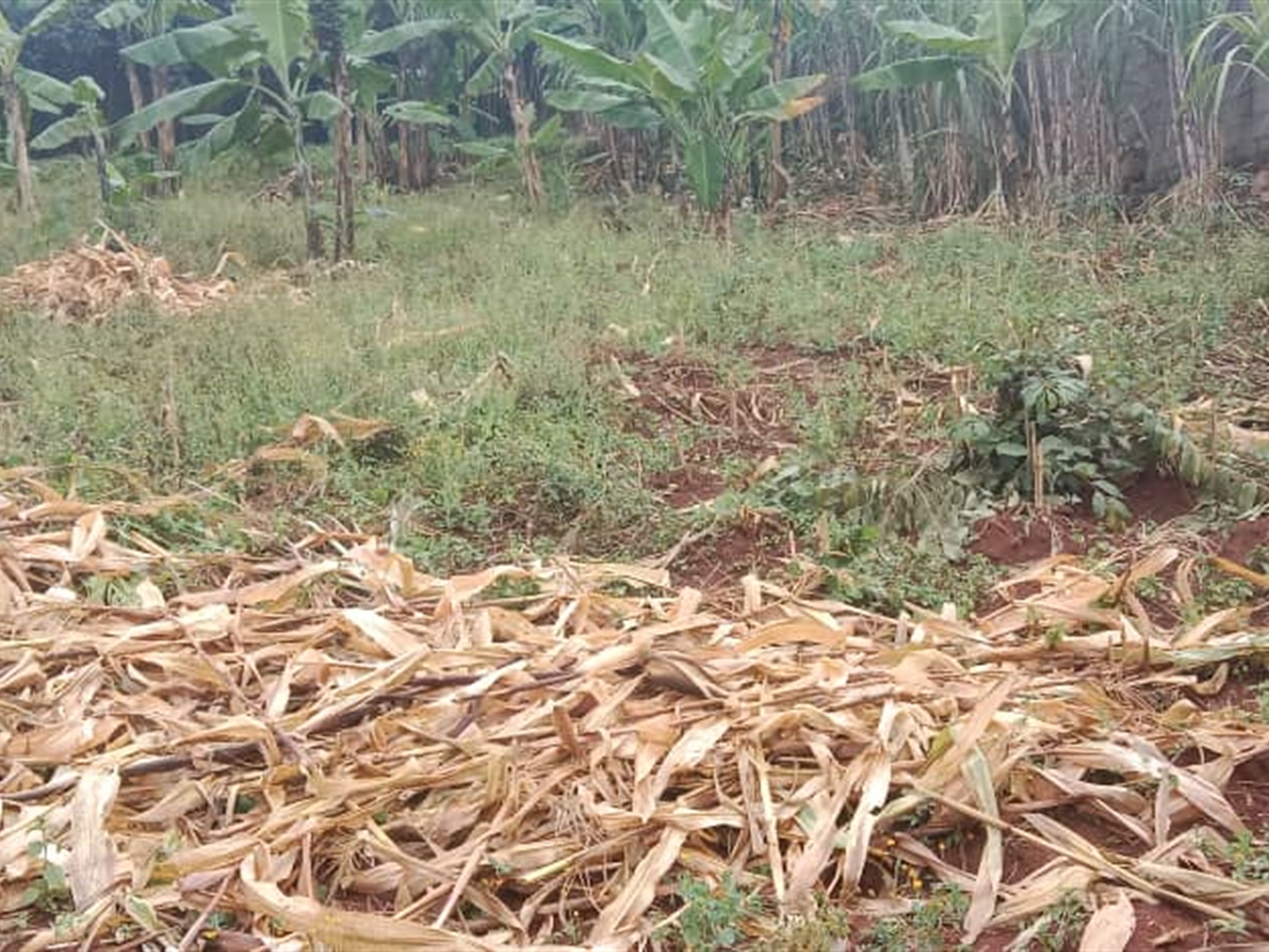 Residential Land for sale in Seguku Wakiso