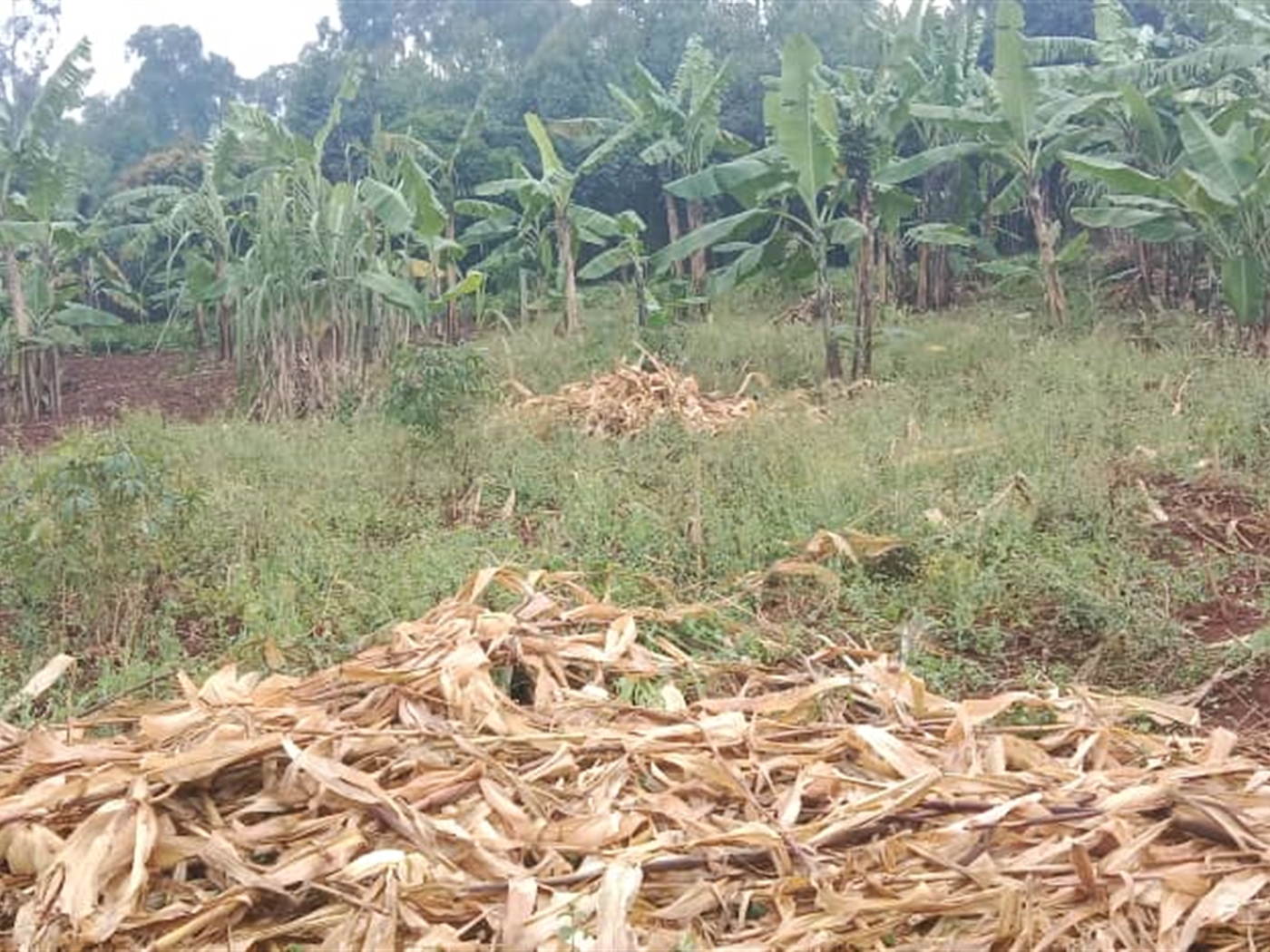 Residential Land for sale in Seguku Wakiso