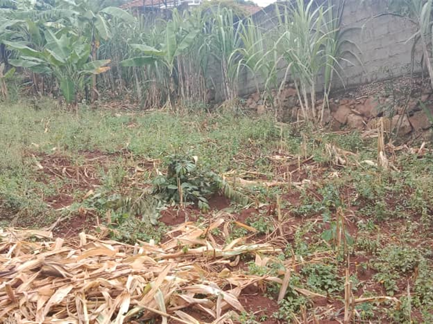 Residential Land for sale in Seguku Wakiso