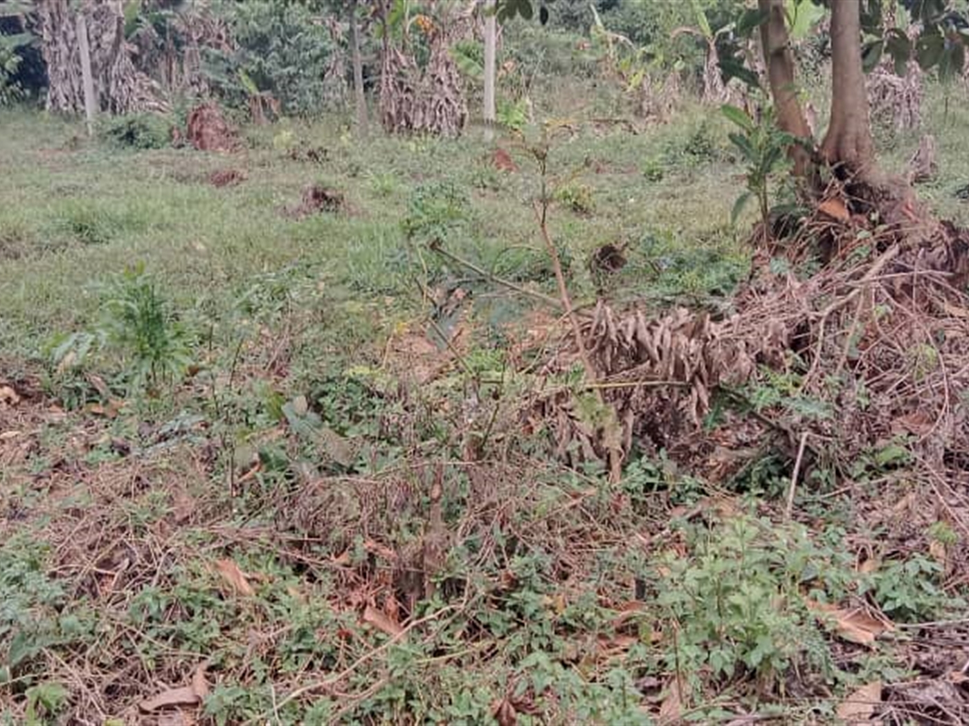 Residential Land for sale in Nakawuka Wakiso