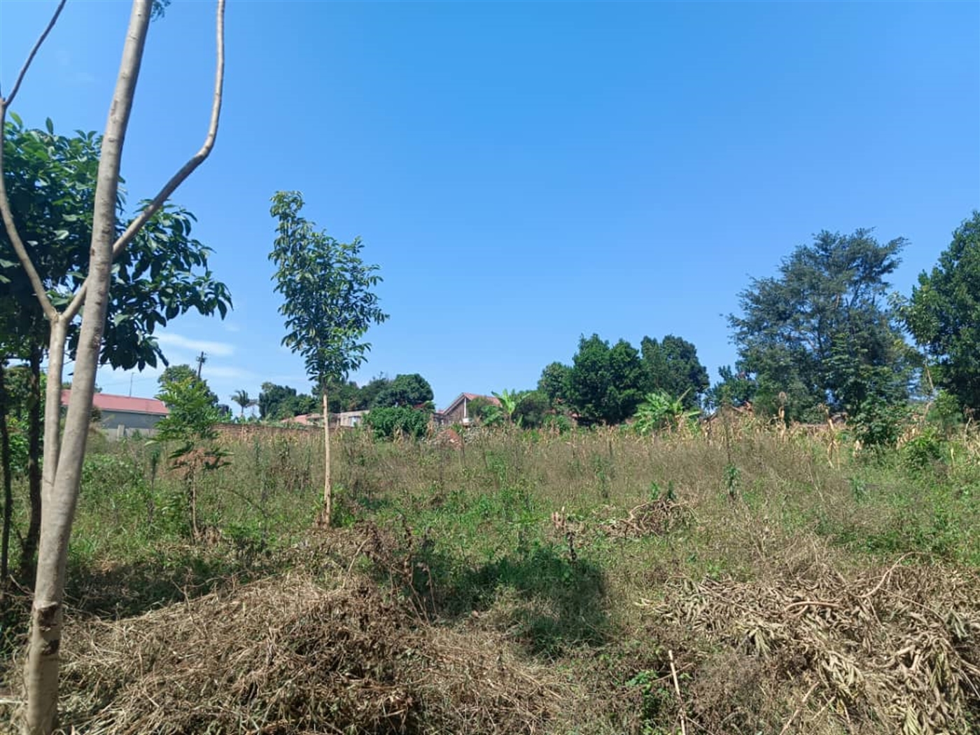 Residential Land for sale in Kisaasi Kampala