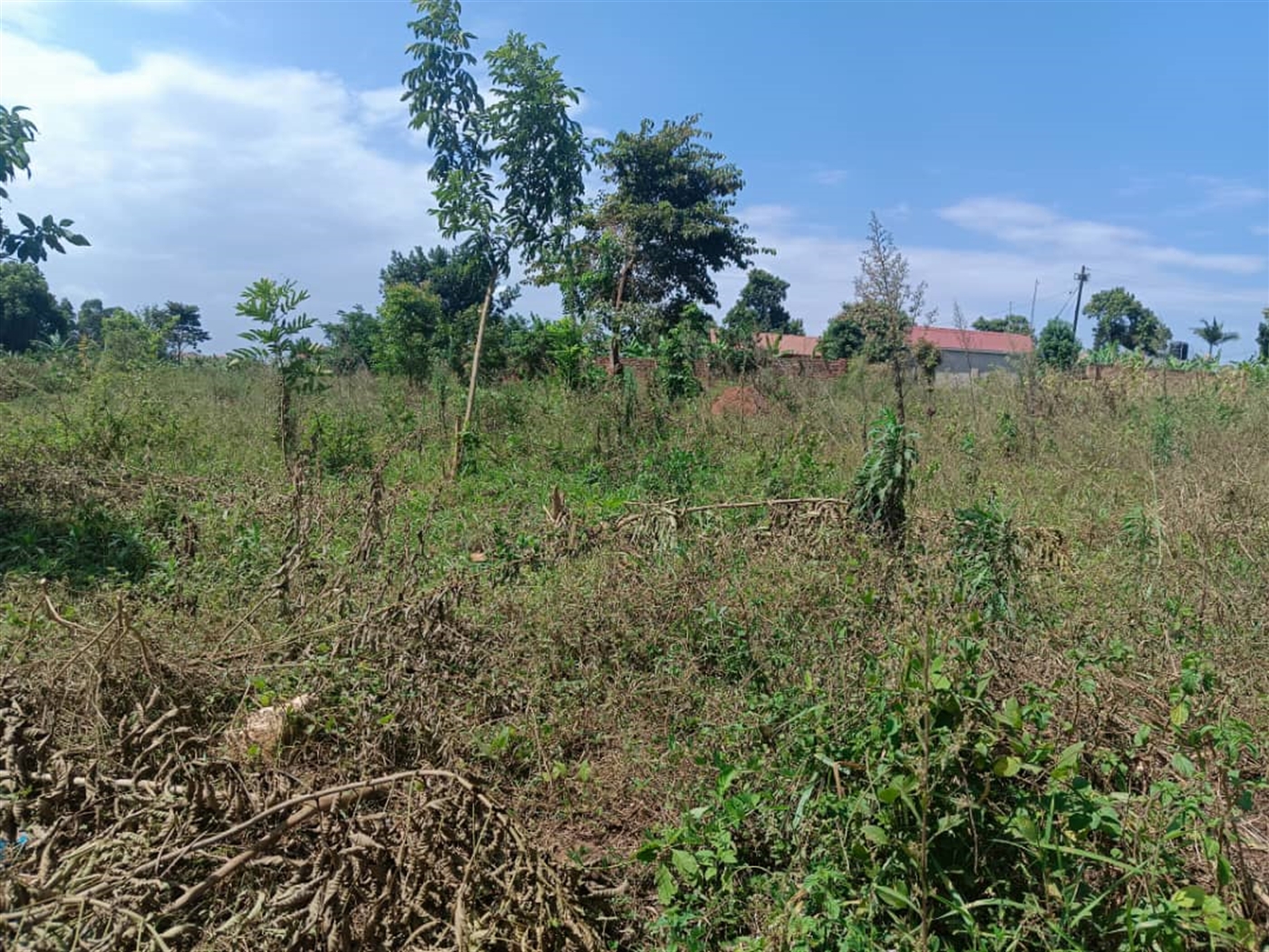 Residential Land for sale in Kisaasi Kampala