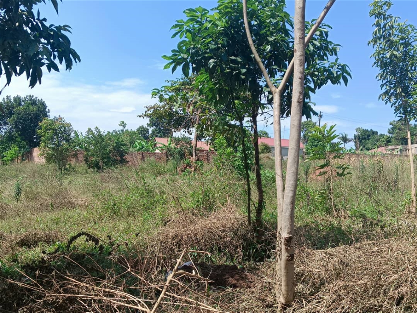 Residential Land for sale in Kisaasi Kampala