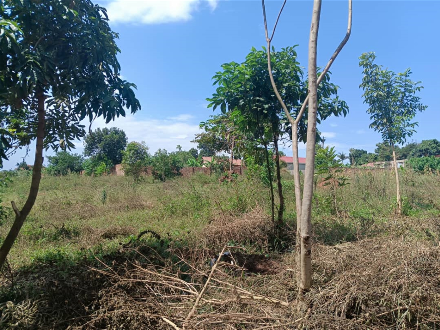 Residential Land for sale in Kisaasi Kampala