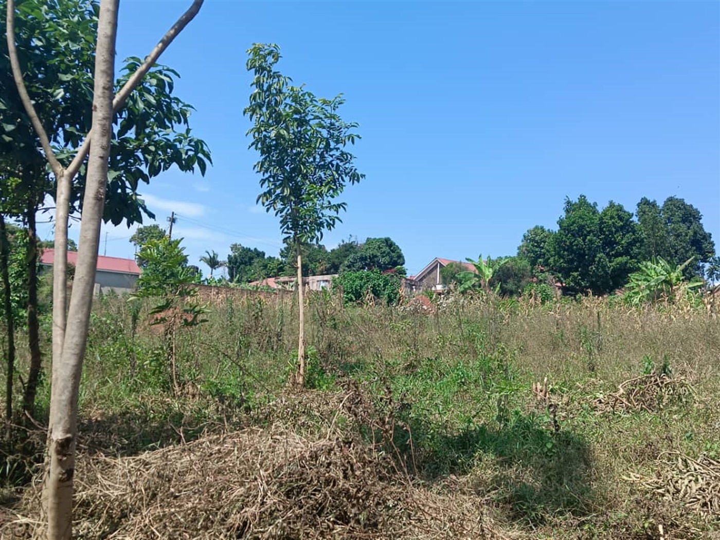 Residential Land for sale in Kisaasi Kampala