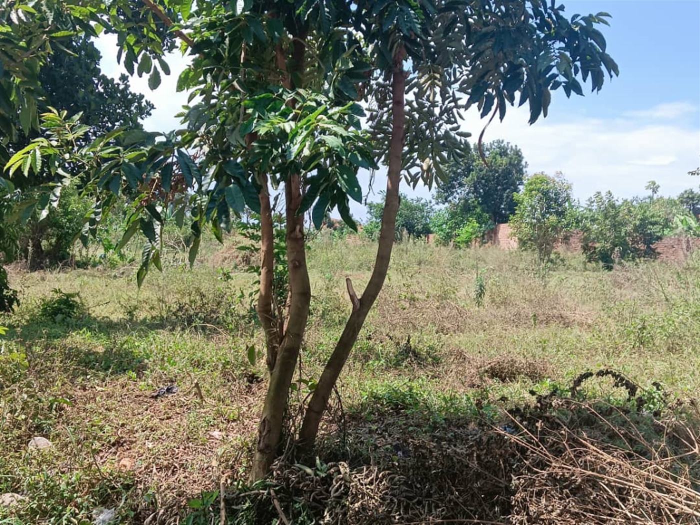 Residential Land for sale in Kisaasi Kampala