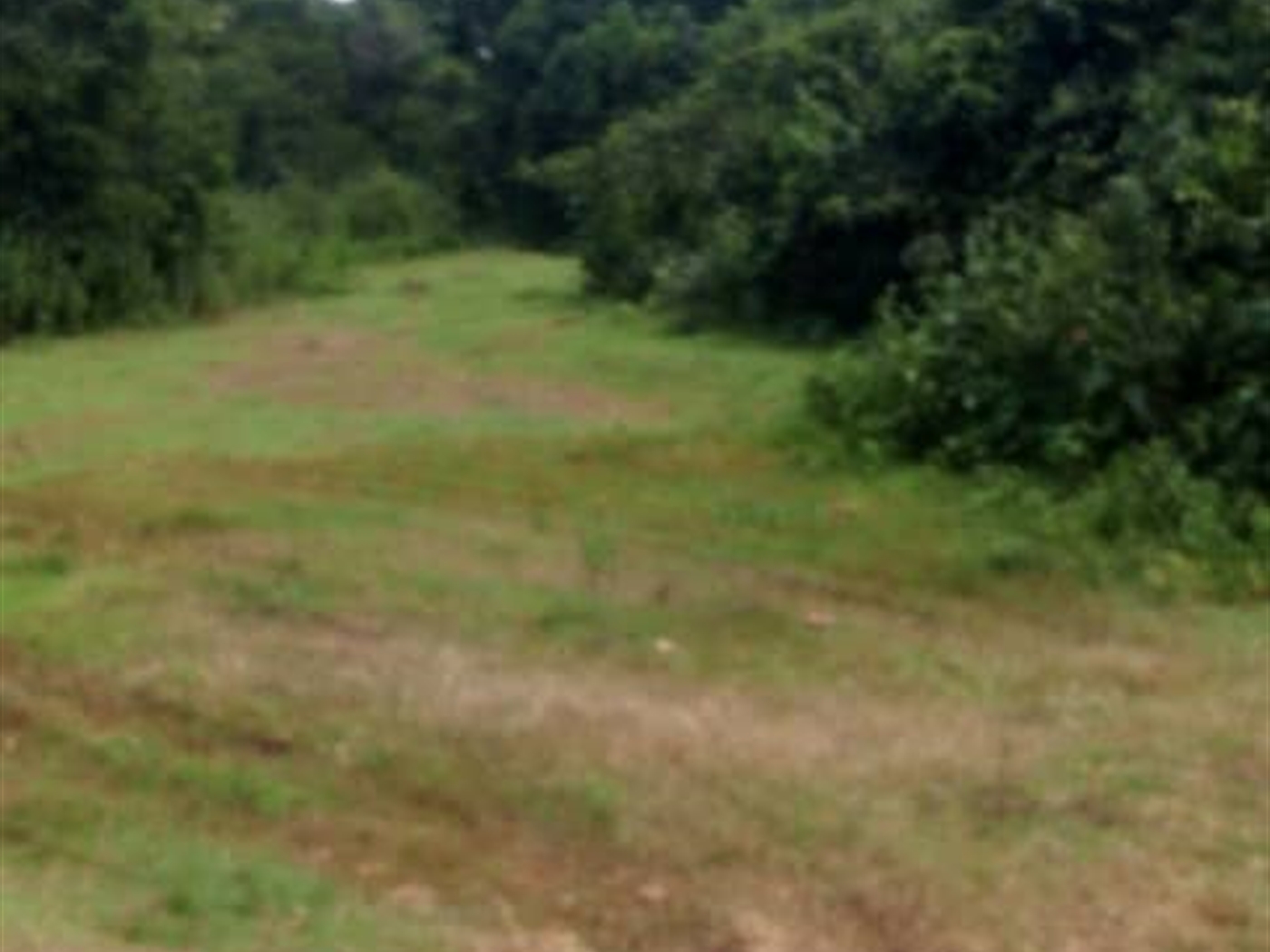 Residential Land for sale in Kawuku Wakiso