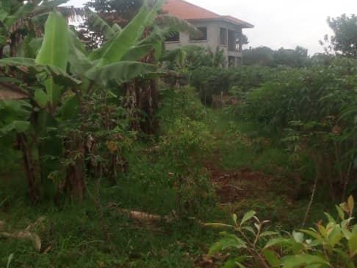 Residential Land for sale in Bwelenga Wakiso