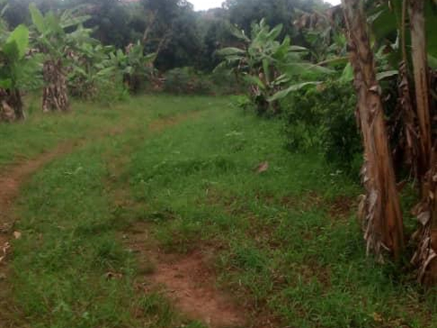 Residential Land for sale in Bwelenga Wakiso