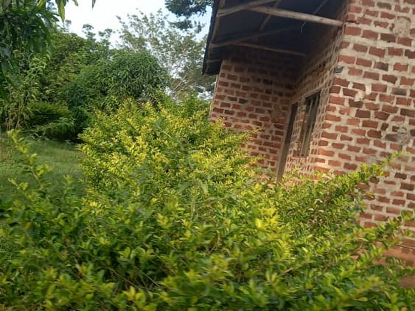 Residential Land for sale in Ziloobwe Wakiso