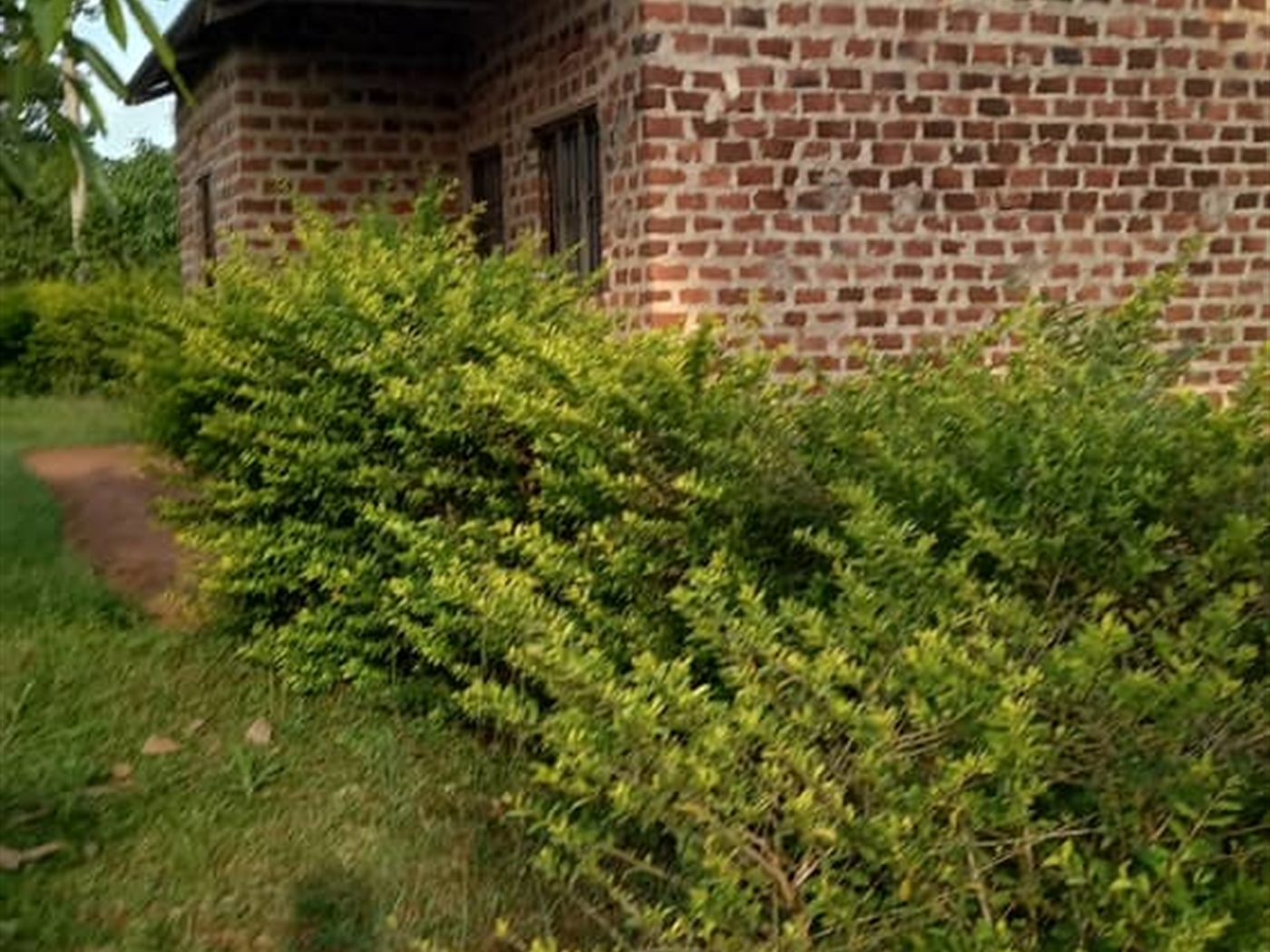 Residential Land for sale in Ziloobwe Wakiso