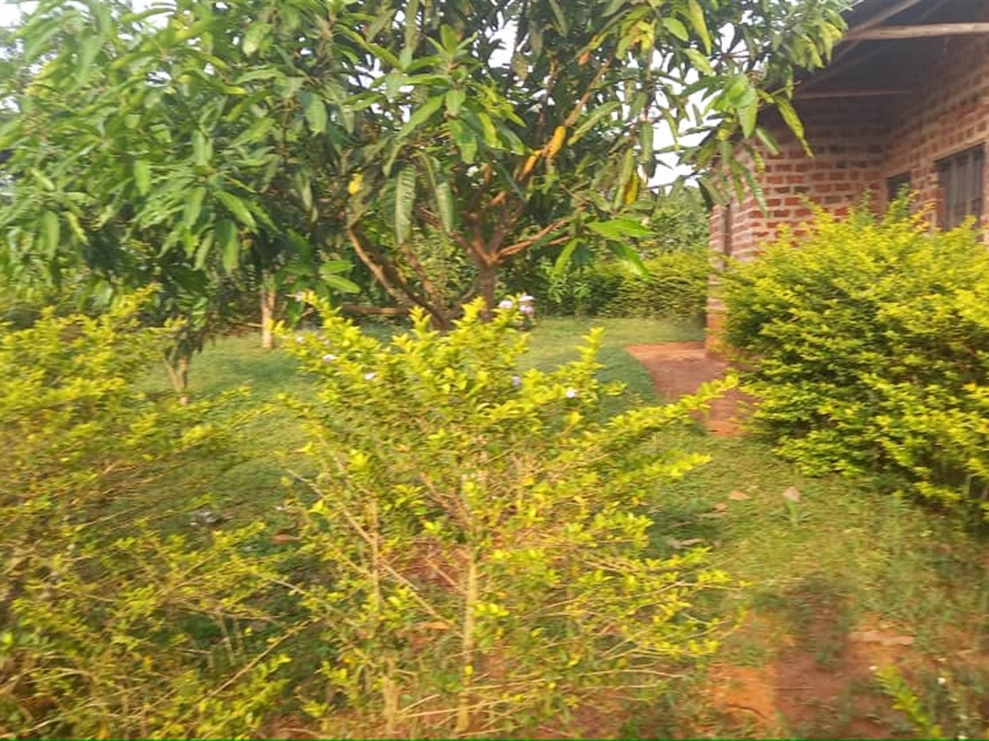 Residential Land for sale in Ziloobwe Wakiso