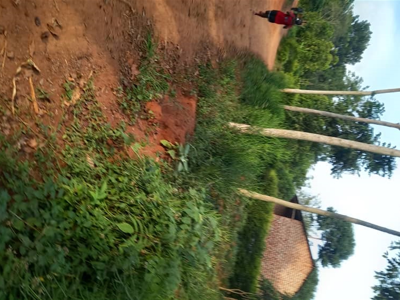 Residential Land for sale in Ziloobwe Wakiso