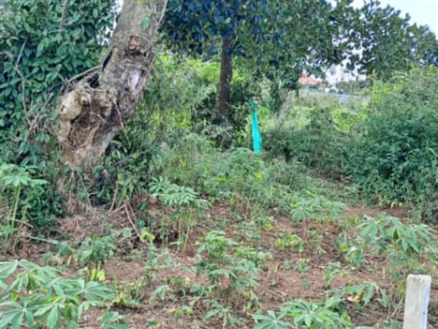 Residential Land for sale in Garuga Wakiso