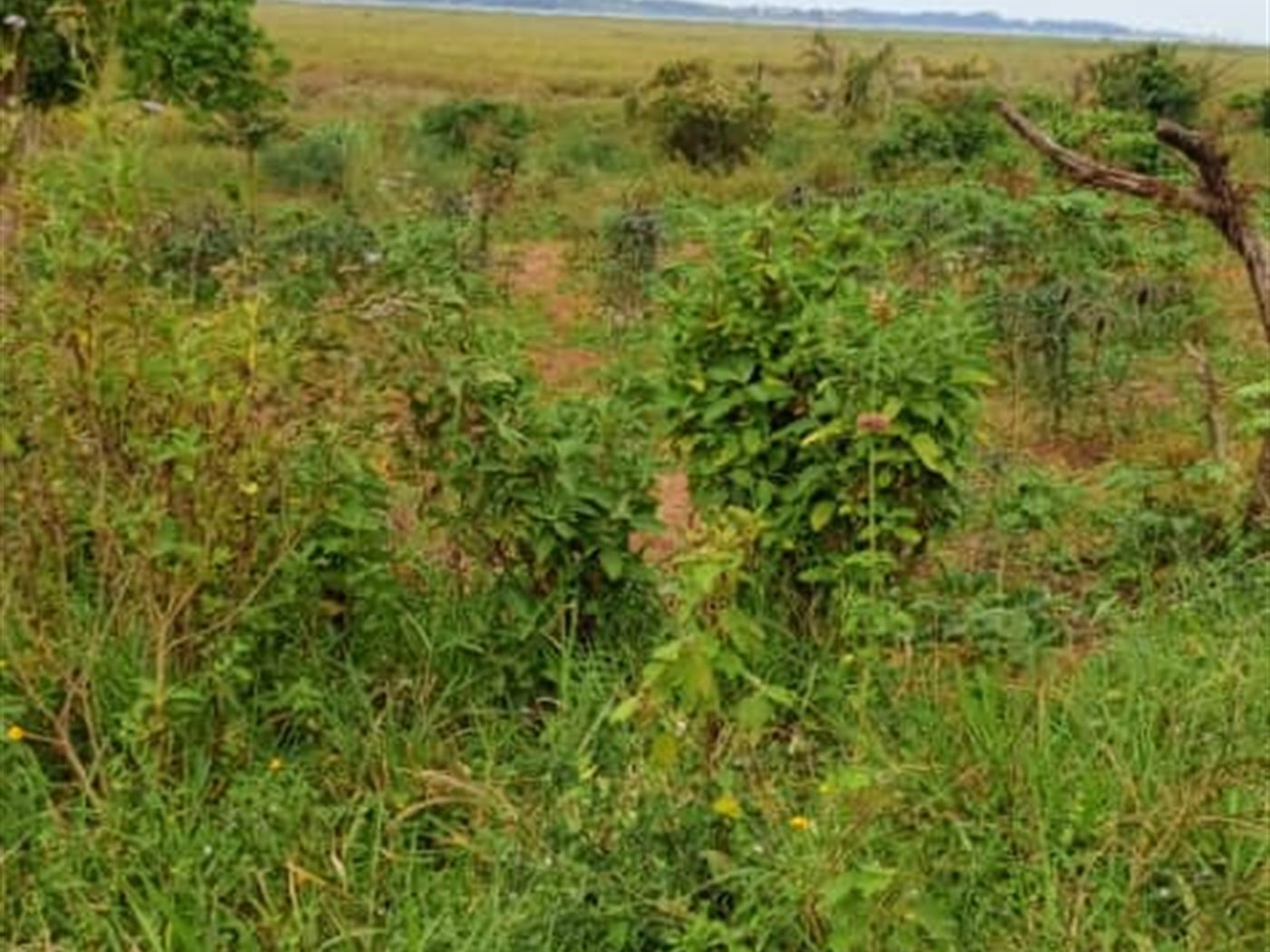 Residential Land for sale in Garuga Wakiso