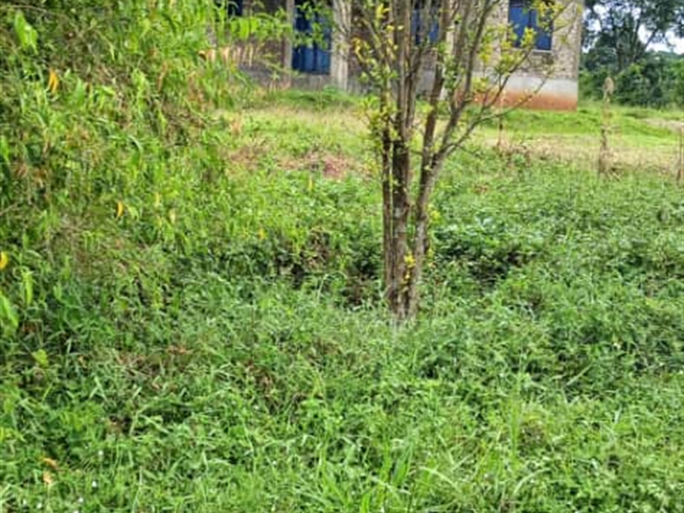 Residential Land for sale in Garuga Wakiso