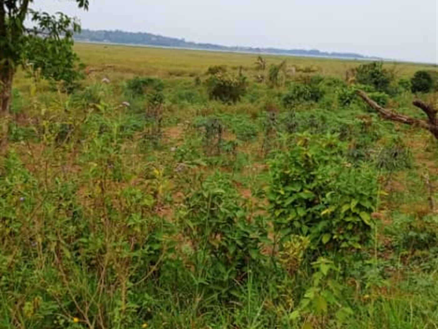 Residential Land for sale in Garuga Wakiso