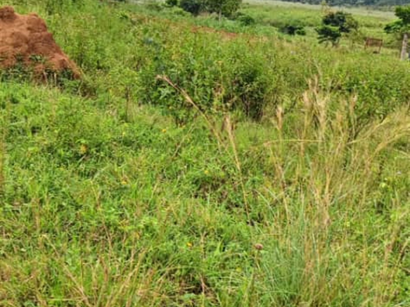 Residential Land for sale in Garuga Wakiso