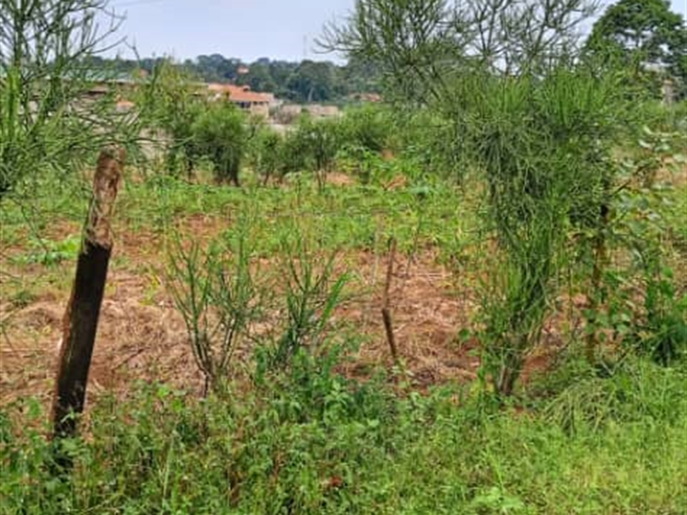 Residential Land for sale in Garuga Wakiso