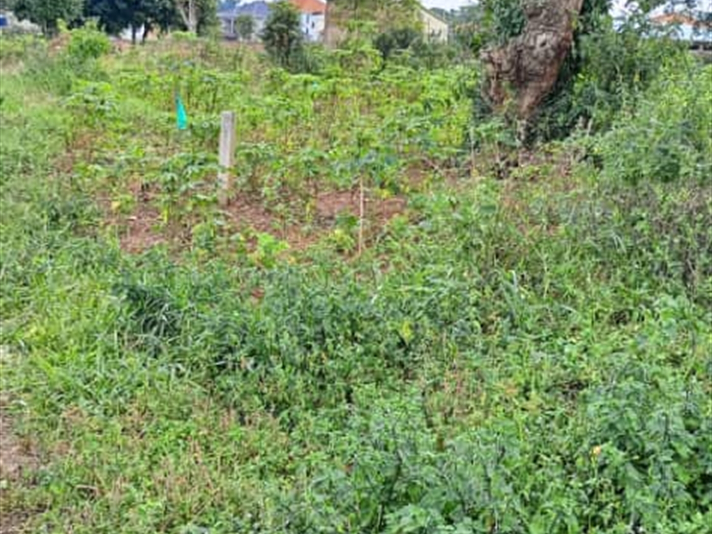 Residential Land for sale in Garuga Wakiso