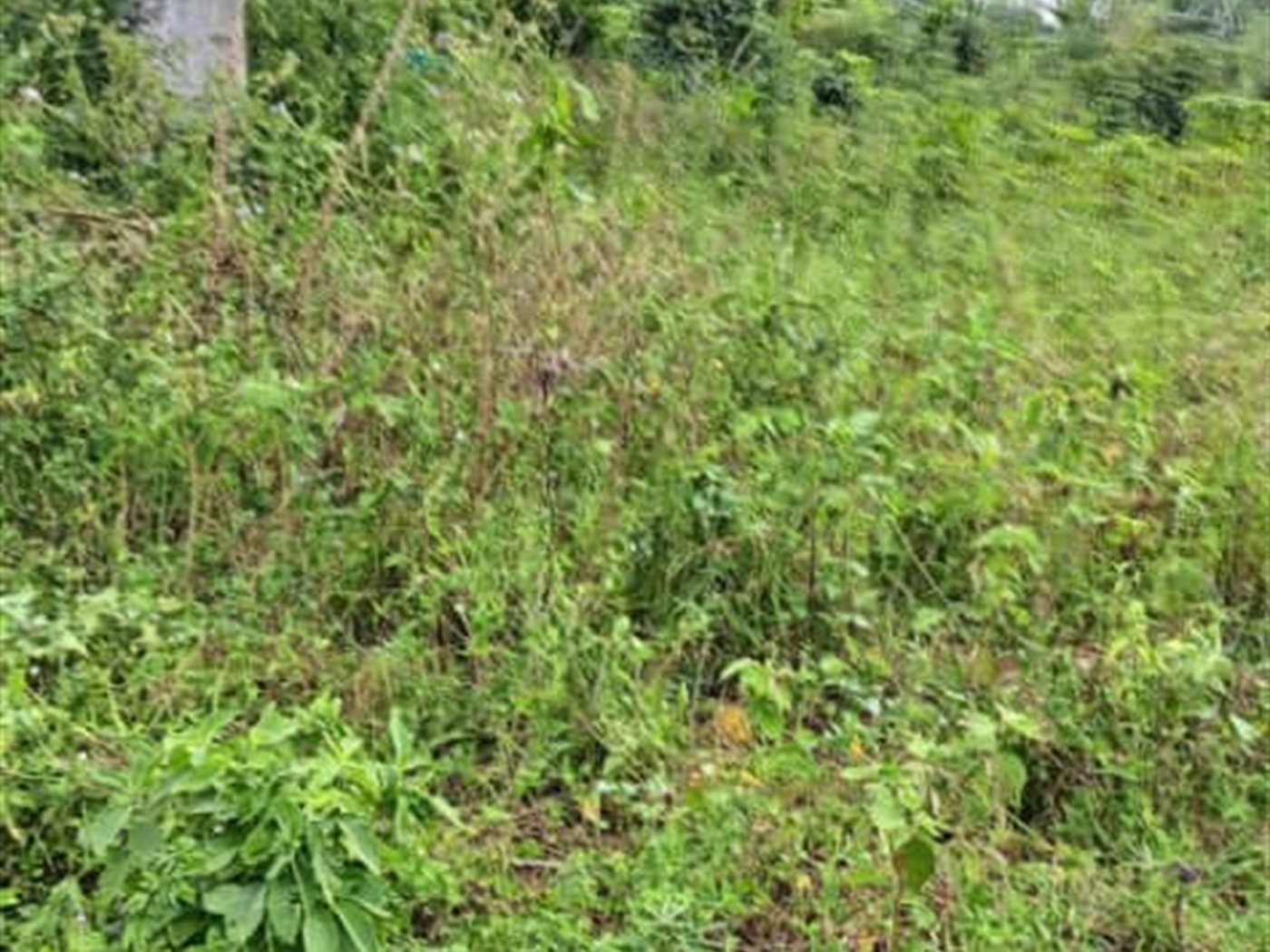 Residential Land for sale in Garuga Wakiso