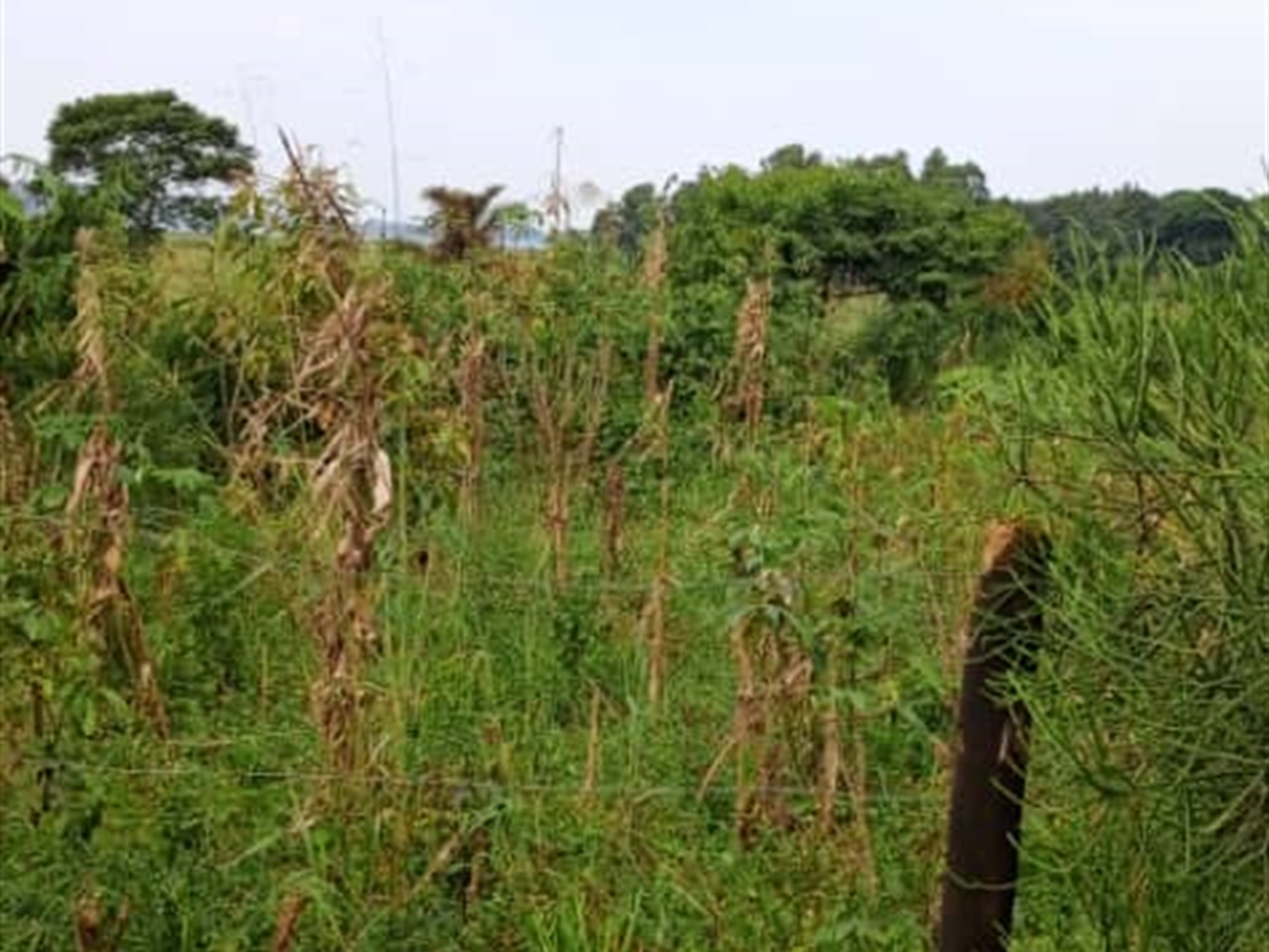 Residential Land for sale in Garuga Wakiso