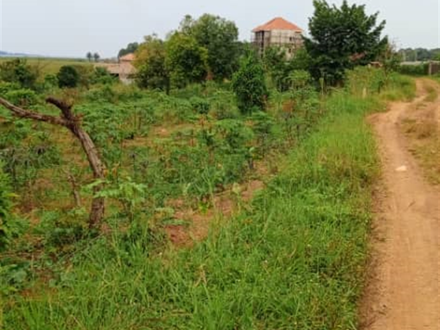 Residential Land for sale in Garuga Wakiso