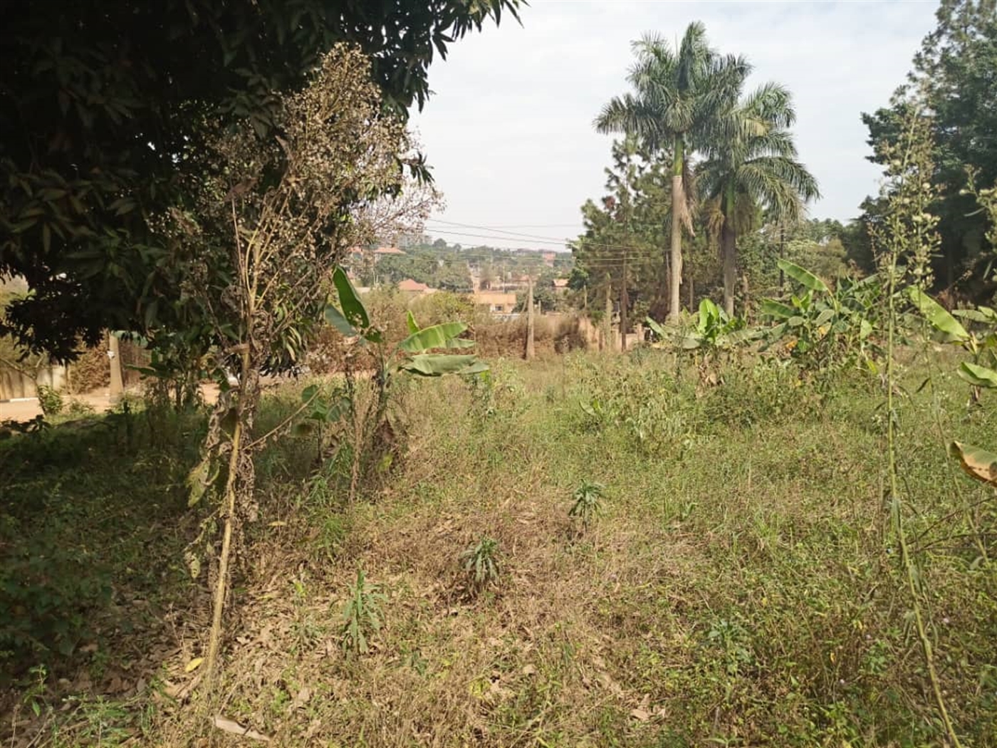 Residential Land for sale in Kyanja Wakiso