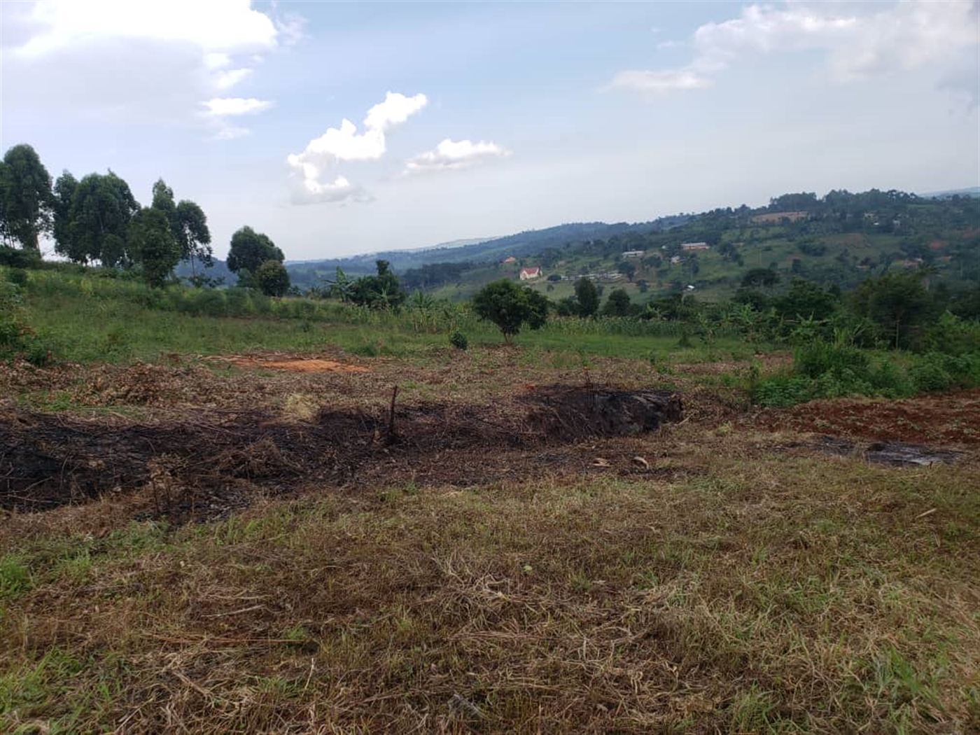 Residential Land for sale in Lugazi Jinja