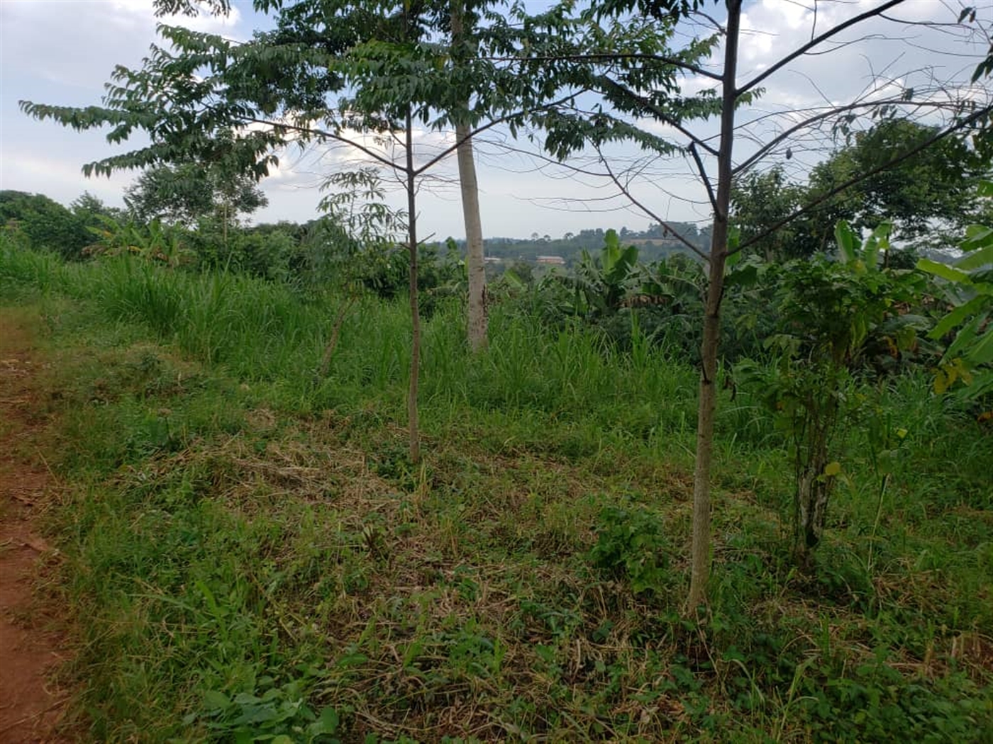 Residential Land for sale in Lugazi Jinja