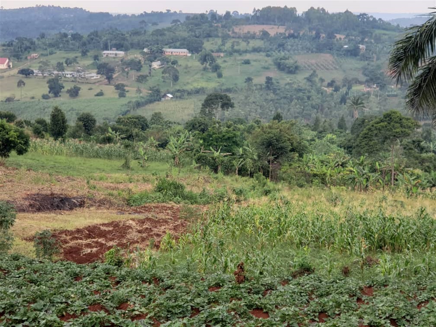 Residential Land for sale in Lugazi Jinja