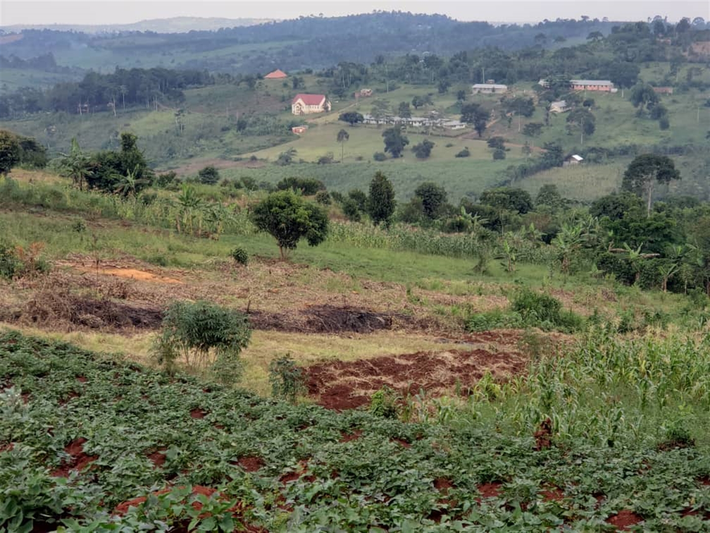 Residential Land for sale in Lugazi Jinja