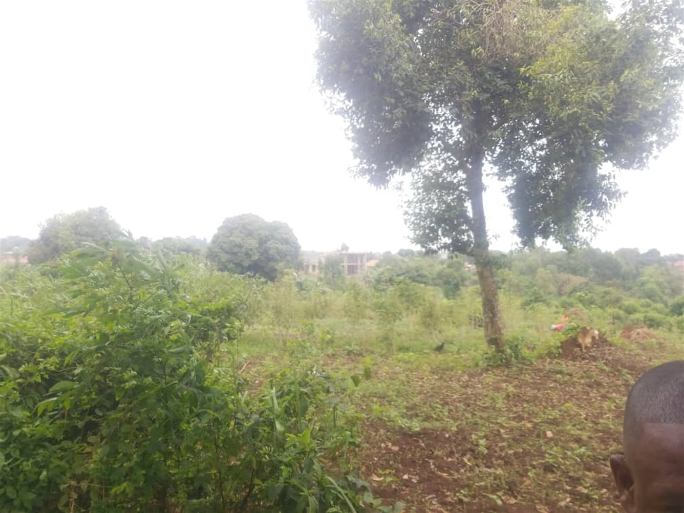 Residential Land for sale in Massoli Wakiso