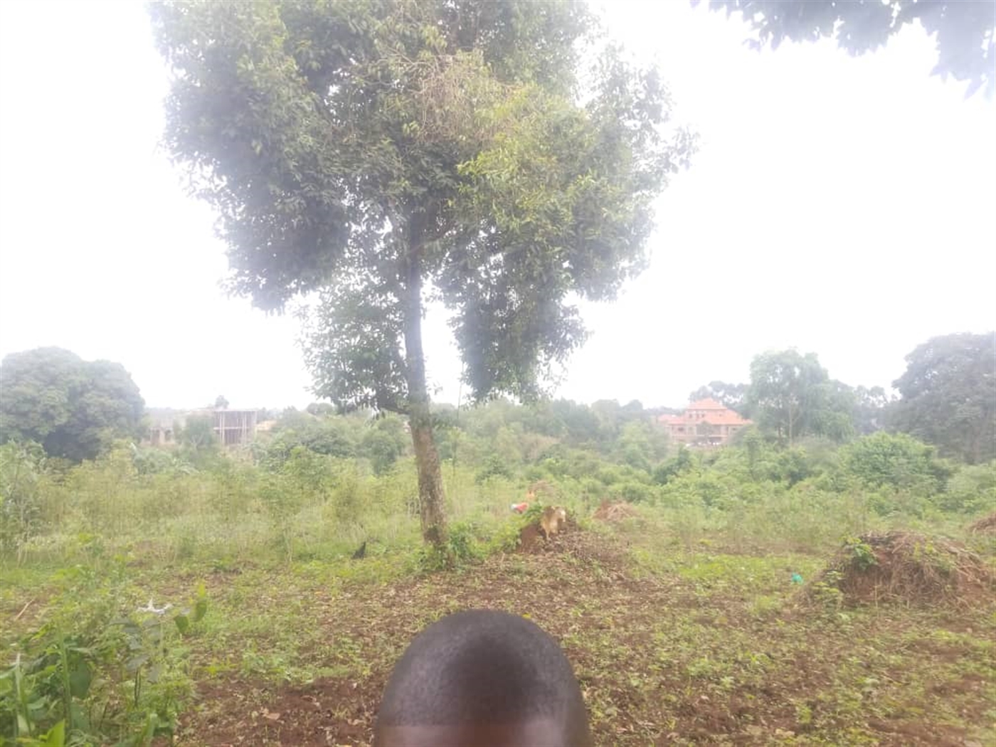 Residential Land for sale in Massoli Wakiso