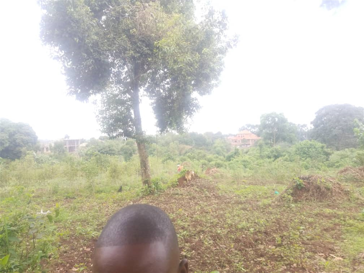 Residential Land for sale in Massoli Wakiso