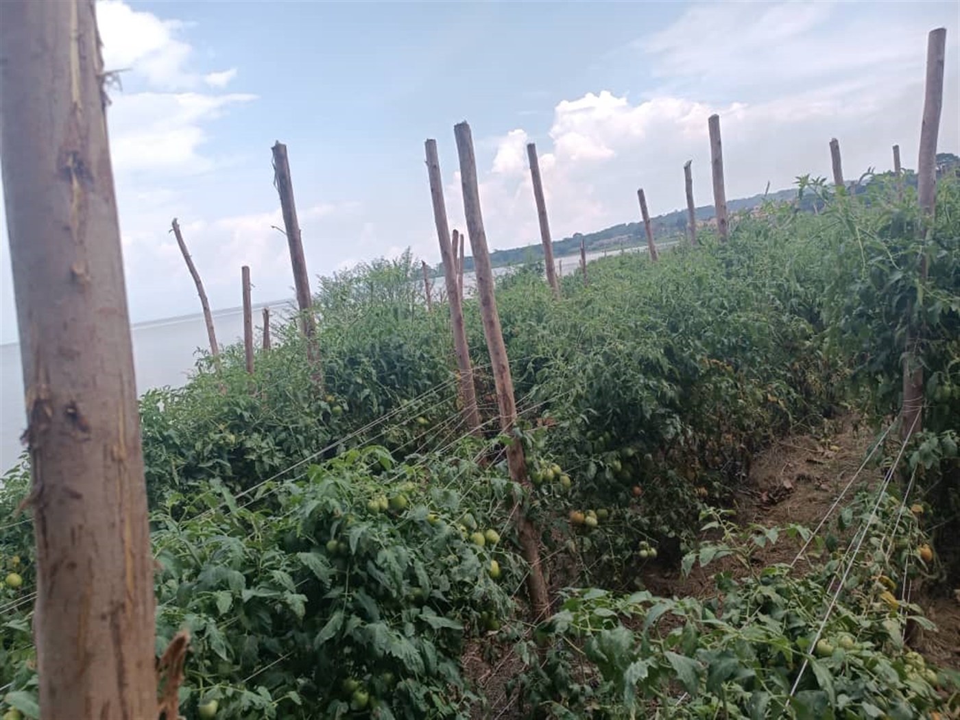 Residential Land for sale in Garuga Wakiso