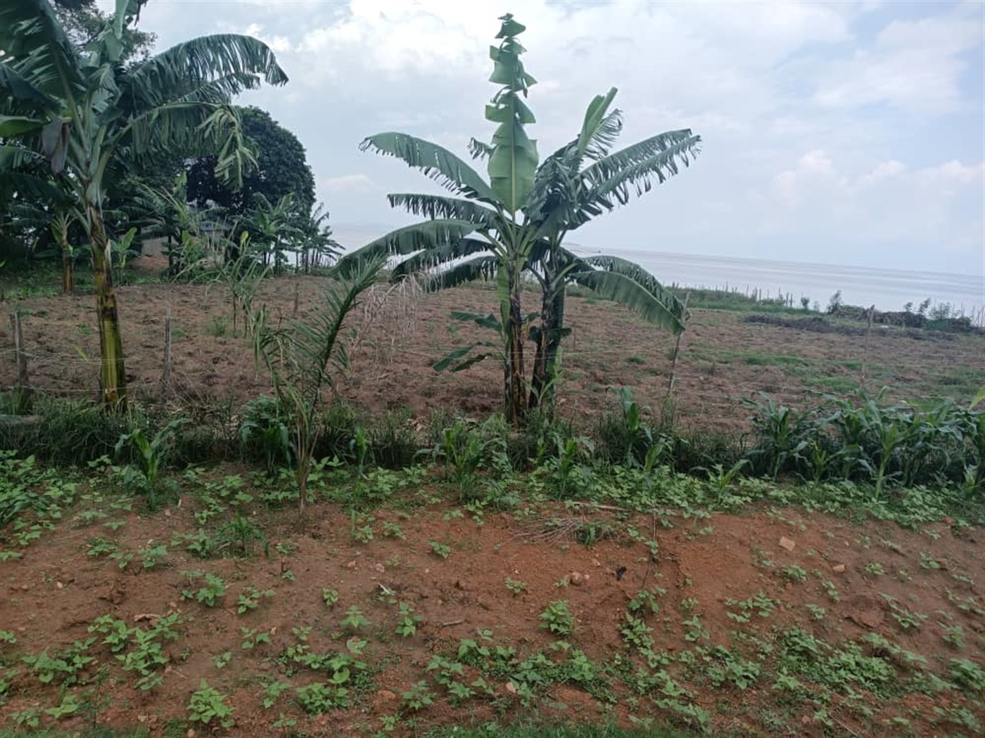 Residential Land for sale in Garuga Wakiso