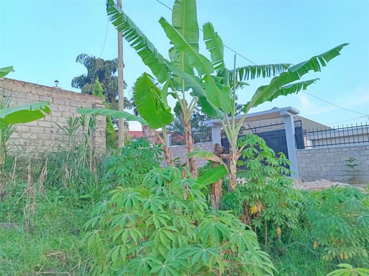 Residential Land for sale in Najjera Wakiso