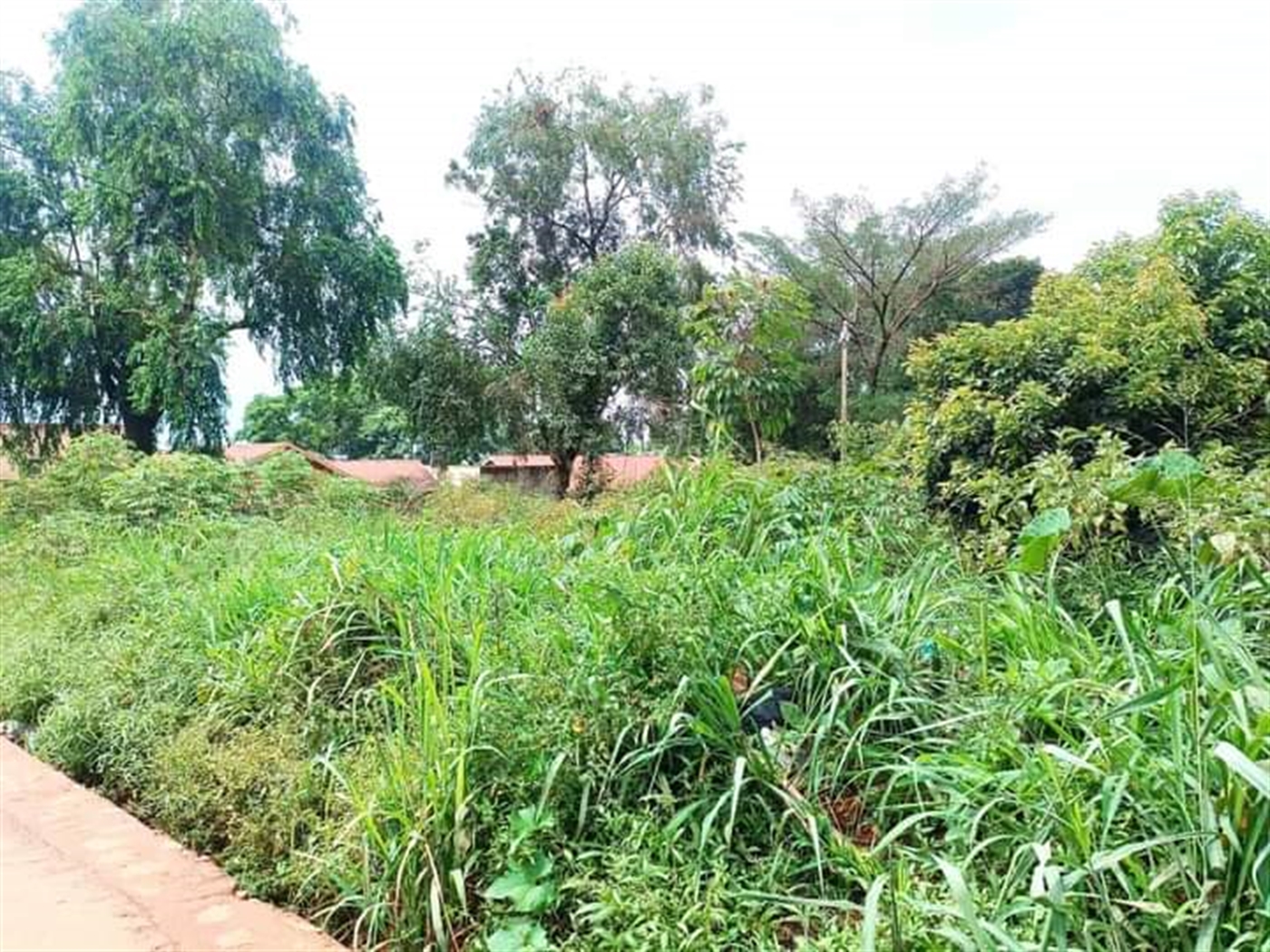 Residential Land for sale in Namugongo Wakiso