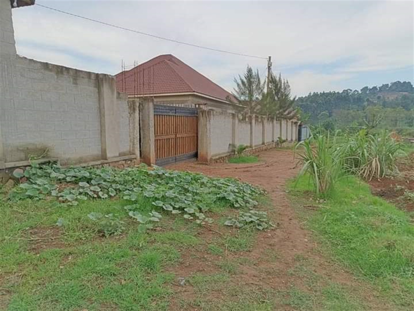 Residential Land for sale in Bajjo Mukono