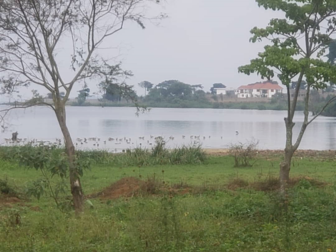 Residential Land for sale in Kasanjje Wakiso