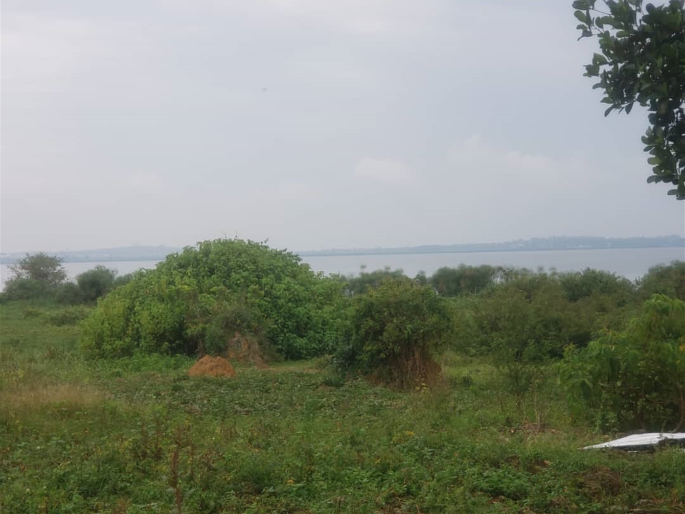 Residential Land for sale in Kasanjje Wakiso