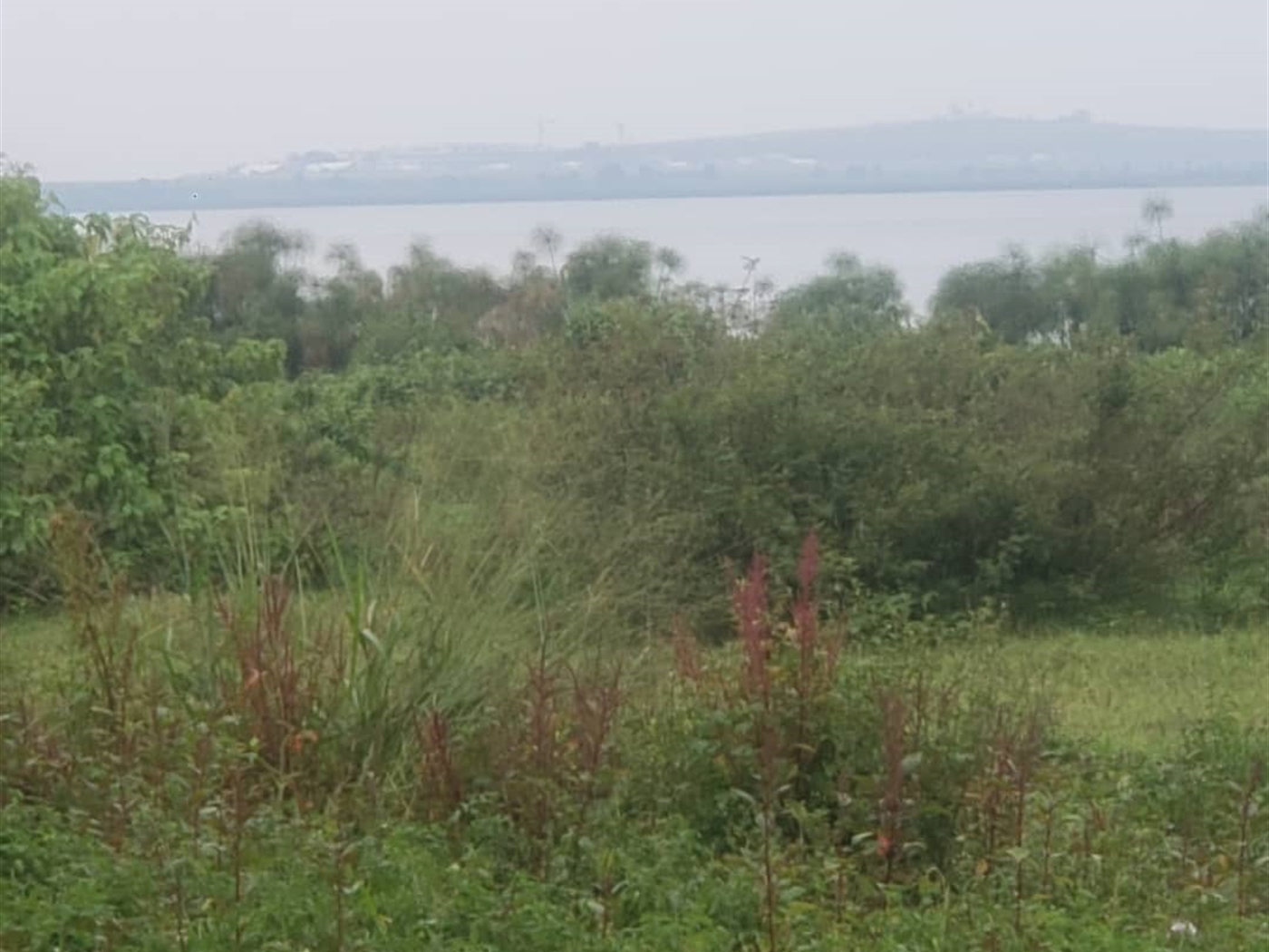 Residential Land for sale in Kasanjje Wakiso